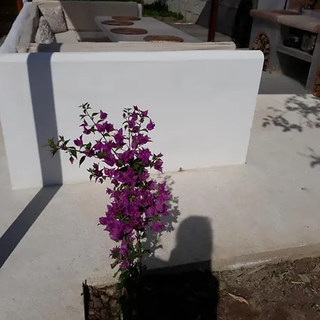 La Petit Chariklia's House Volos